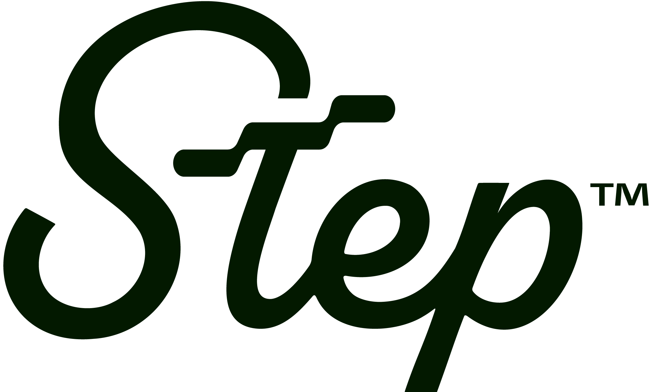 Step Logo